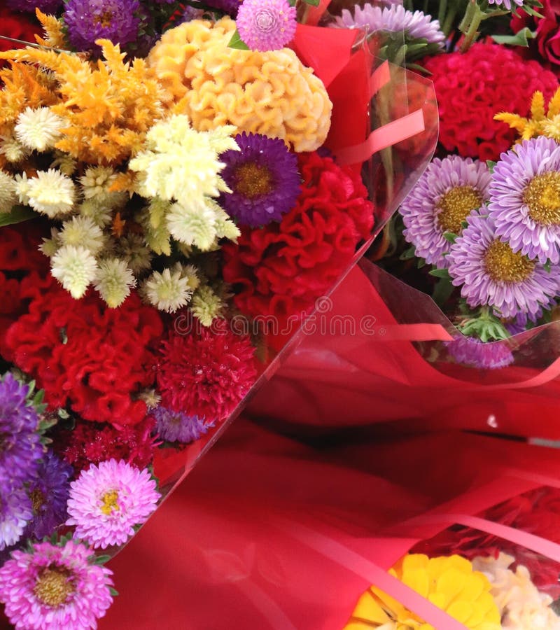 Les couleurs vives de la composition florale sèche ont le facteur de wow photo stock Les couleurs vives de la composition florale sèche ont le facteur de wow photo stock