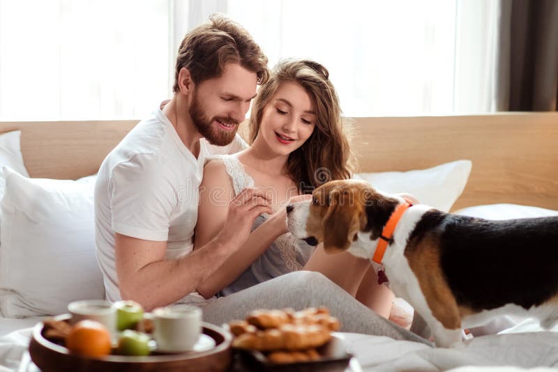 Les couples gais de famille passent le matin de week-end dans le lit avec leur animal familier préféré, chien d'alimentation tand image stock Les couples gais de famille passent le matin de week-end dans le lit avec leur animal familier préféré, chien d'alimentation tand image stock
