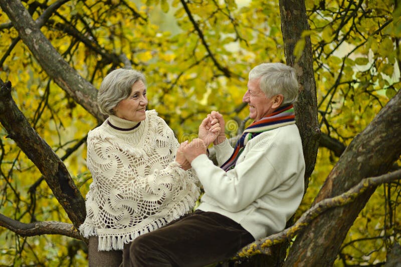 Les couples pluss âgé adorables sont entrés en parc photo libre de droits Les couples pluss âgé adorables sont entrés en parc photo libre de droits