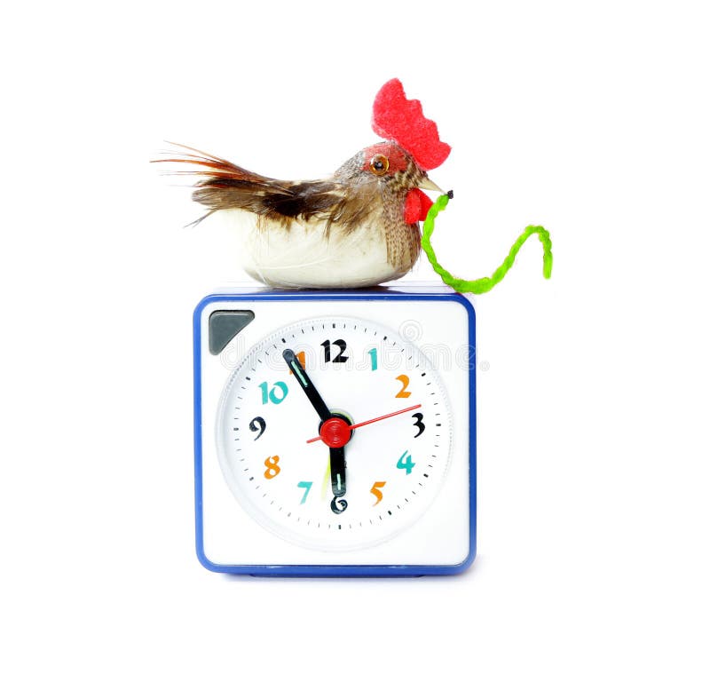 Early bird catches gets the worm proverb representing alarm clock on 6 am with bird and maggot in neb. Early bird catches gets the worm proverb representing alarm clock on 6 am with bird and maggot in neb