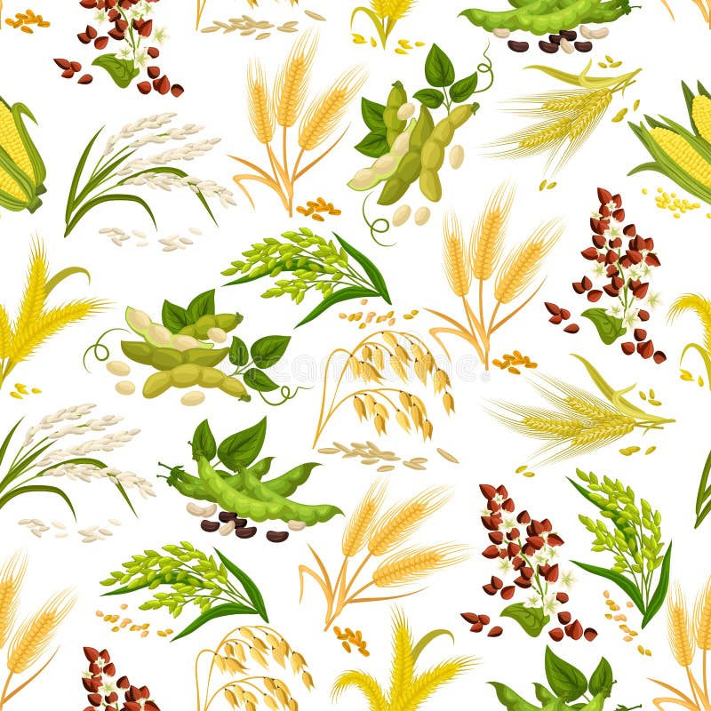 Les céréales dirigent le modèle sans couture du grain illustration stock Les céréales dirigent le modèle sans couture du grain illustration stock