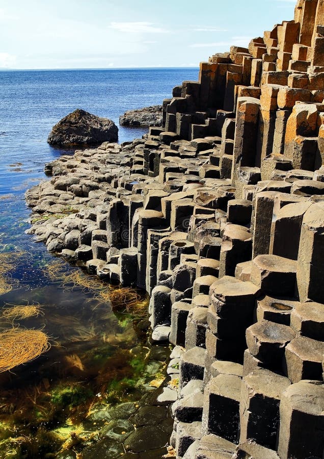 Les dalles hexagonales de basalte de la chaussée de Giants plongeant dans la mer
