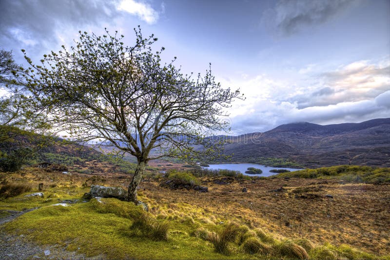 Les dames regardent, Co Kerry, Irlande images stock Les dames regardent, Co Kerry, Irlande images stock