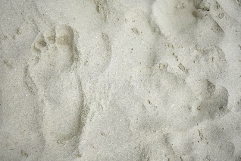 Les empreintes de pas sur la plage se fanent image libre de droits Les empreintes de pas sur la plage se fanent image libre de droits