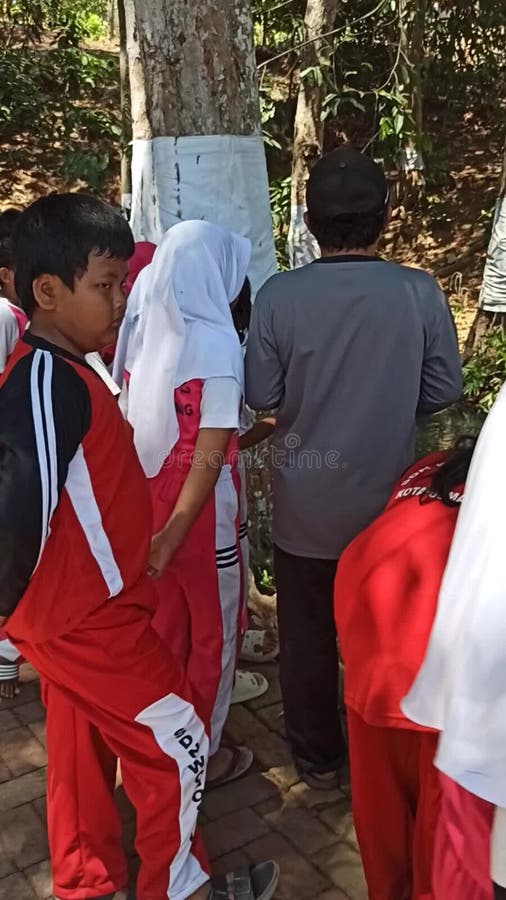 Les enfants du primaire à semarang regardent la source d'eau à sendang. banque de vidéos