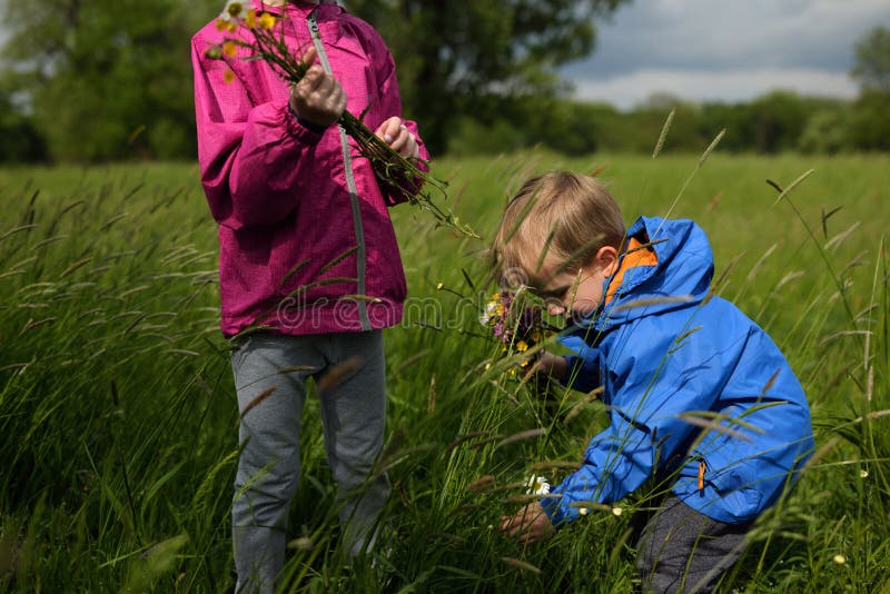 Les enfants reprenant fleurit sur un pré images libres de droits Les enfants reprenant fleurit sur un pré images libres de droits