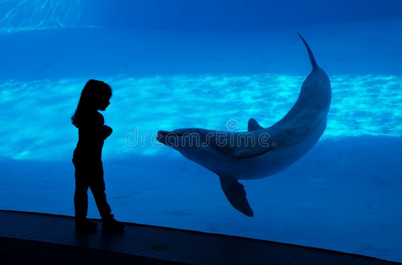 Les enfants silhouettent à l'aquarium
