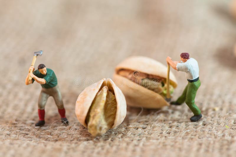 Les enregistreurs miniatures ont coupé des pistaches image stock Les enregistreurs miniatures ont coupé des pistaches image stock