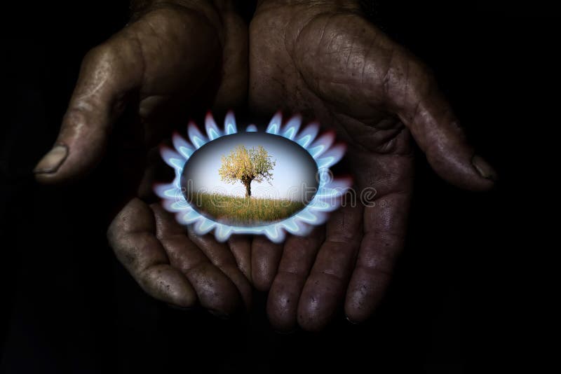 Les experts montrent un exemple de la protection de l'environnement photos stock Les experts montrent un exemple de la protection de l'environnement photos stock