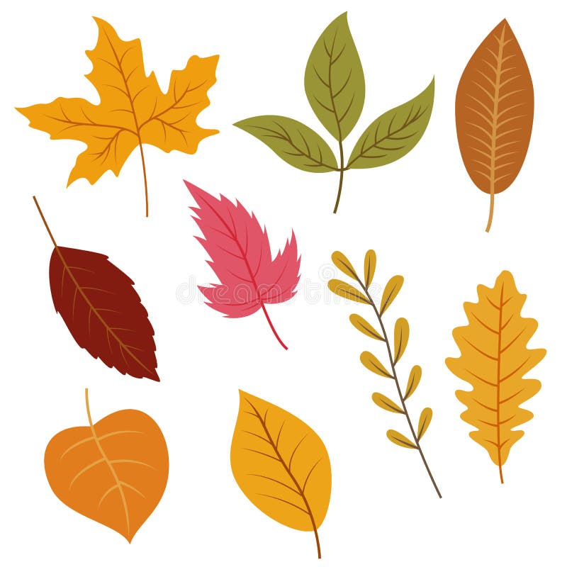 Les feuilles d'automne ont placé, d'isolement sur le fond blanc illustration libre de droits