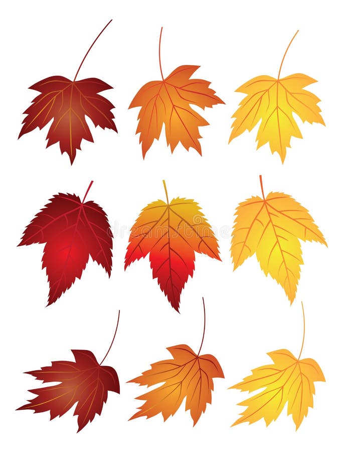 Les feuilles d'érable dans l'automne colore l'illustration de vecteur illustration libre de droits Les feuilles d'érable dans l'automne colore l'illustration de vecteur illustration libre de droits