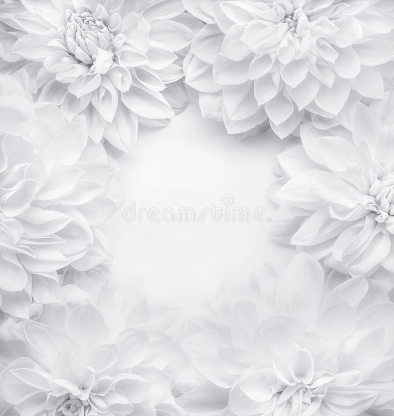 Les fleurs blanches créatives encadrent le fond, le modèle floral ou la disposition pour la carte de voeux du jour de mères, anni