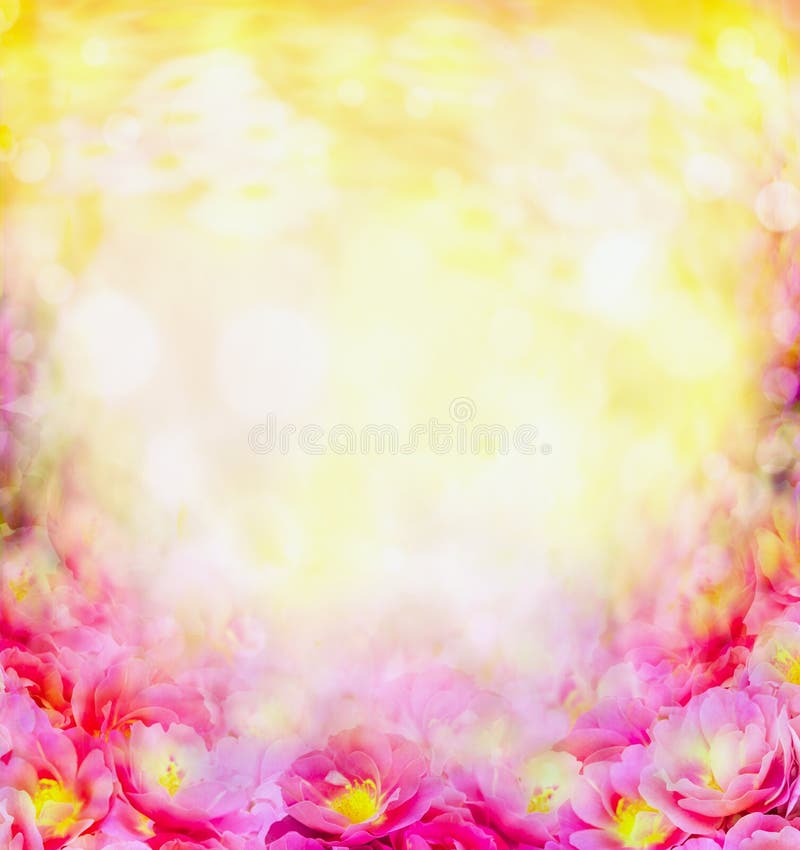 Sunny summer pink flowers blurred background with bokeh. Sunny summer pink flowers blurred background with bokeh