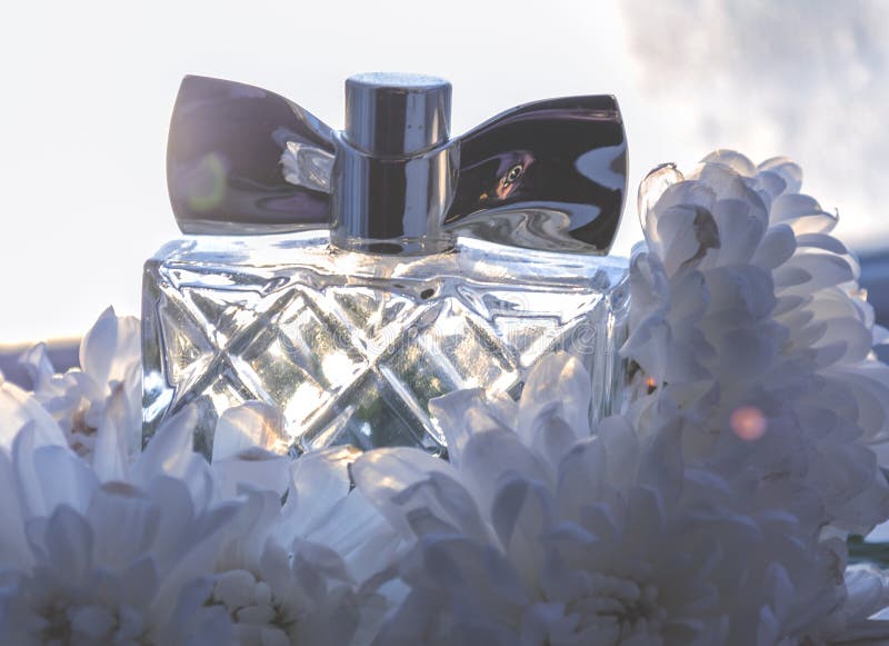 Les fleurs parfument le blanc photo libre de droits