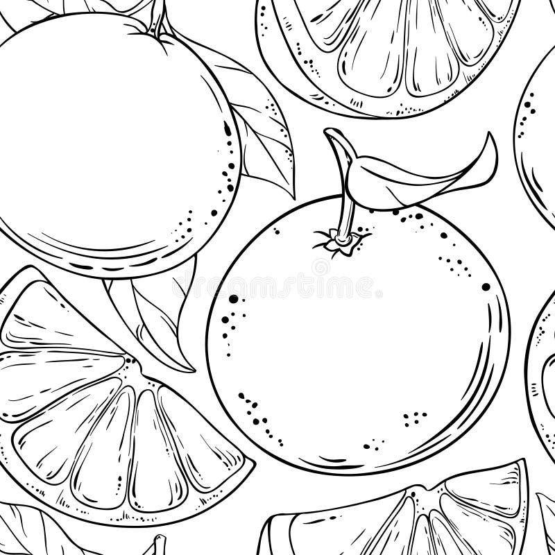 Les fruits de pamplemousse dirigent le modèle illustration libre de droits Les fruits de pamplemousse dirigent le modèle illustration libre de droits