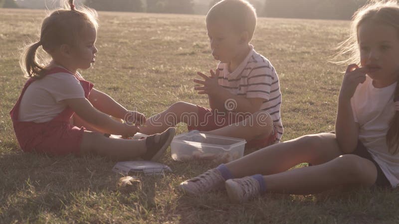 Les gens dans le parc. joyeuse silhouette familiale assise sur l'herbe au coucher du soleil. maman avec trois enfants manger fruit banque de vidéos
