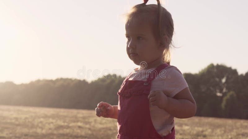Les gens dans le parc. joyeuse silhouette familiale assise sur l'herbe au coucher du soleil. petite petite petite petite fille pet clips vidéos