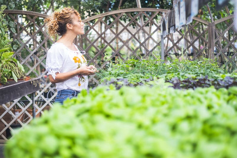 Femme qui jardine illustration Au jardin libre de droit sur