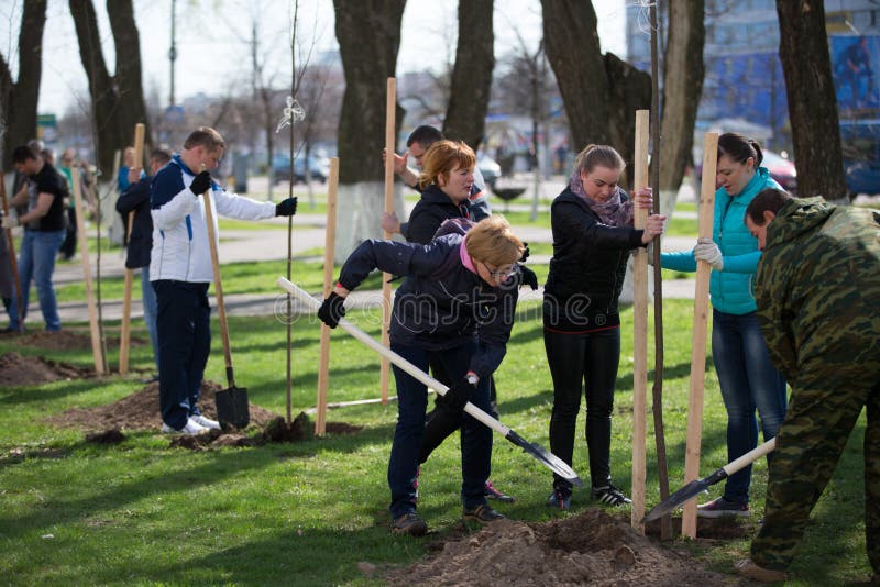 Les gens plantent des arbres images libres de droits Les gens plantent des arbres images libres de droits