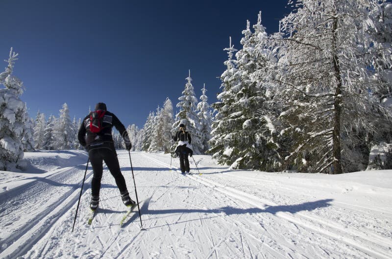 Les gens sur les voies transnationales de ski