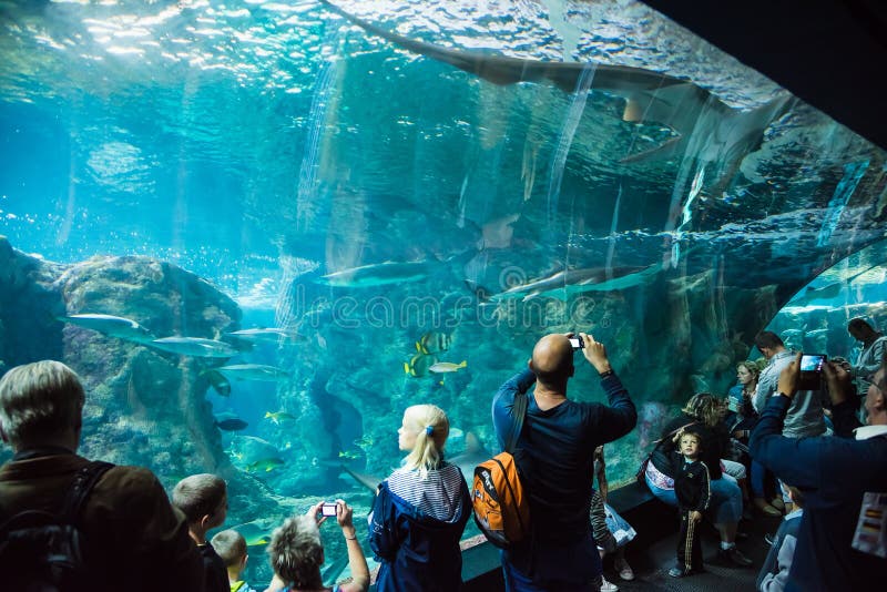 Les gens à l'aquarium images stock Les gens à l'aquarium images stock