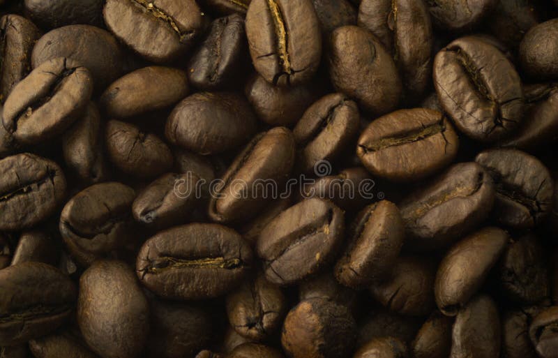 les graines de café proches de fond ont isolé la photo vers le haut du blanc image stock les graines de café proches de fond ont isolé la photo vers le haut du blanc image stock