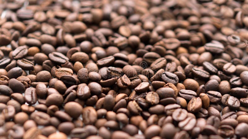 Les graines de café se ferment vers le haut Foyer sélectif images libres de droits Les graines de café se ferment vers le haut Foyer sélectif images libres de droits