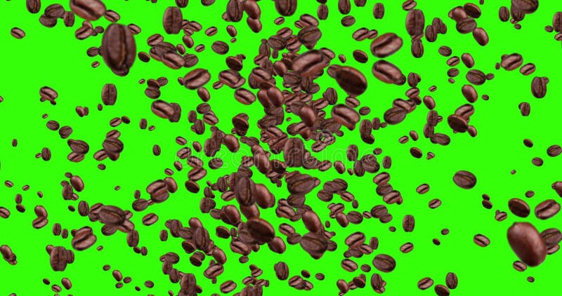 Les grains de café d'animation de Digital volant dans le vortex sur le fond vert de clé de chroma d'écran avec se fanent, boucle illustration de vecteur