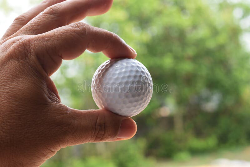 Les hommes prennent des boules de golf de la terre images stock Les hommes prennent des boules de golf de la terre images stock