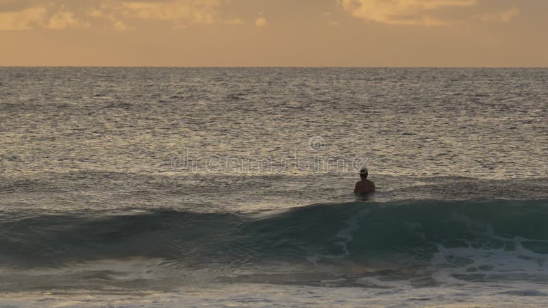 Les hommes surfent en mer tôt le matin clips vidéos