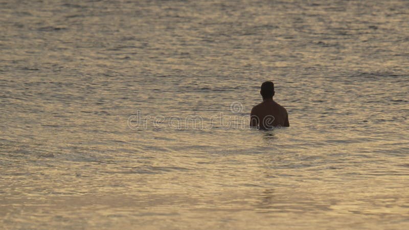 Les hommes surfent en mer tôt le matin banque de vidéos