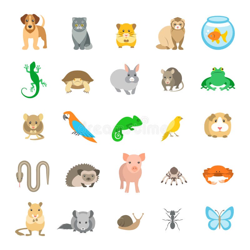 Les icônes colorées plates de vecteur d'animaux familiers d'animaux ont placé sur le blanc