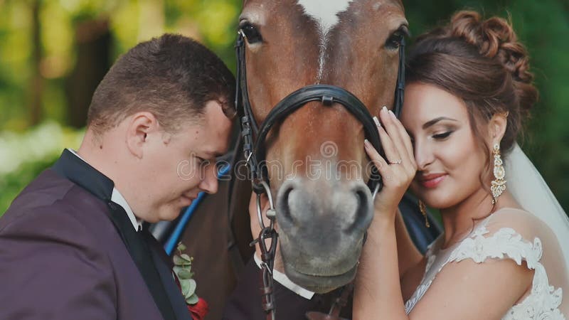 Les jeunes mariés posant à côté du cheval Ils frottent joyeux le cheval heureux ensemble Jour du mariage