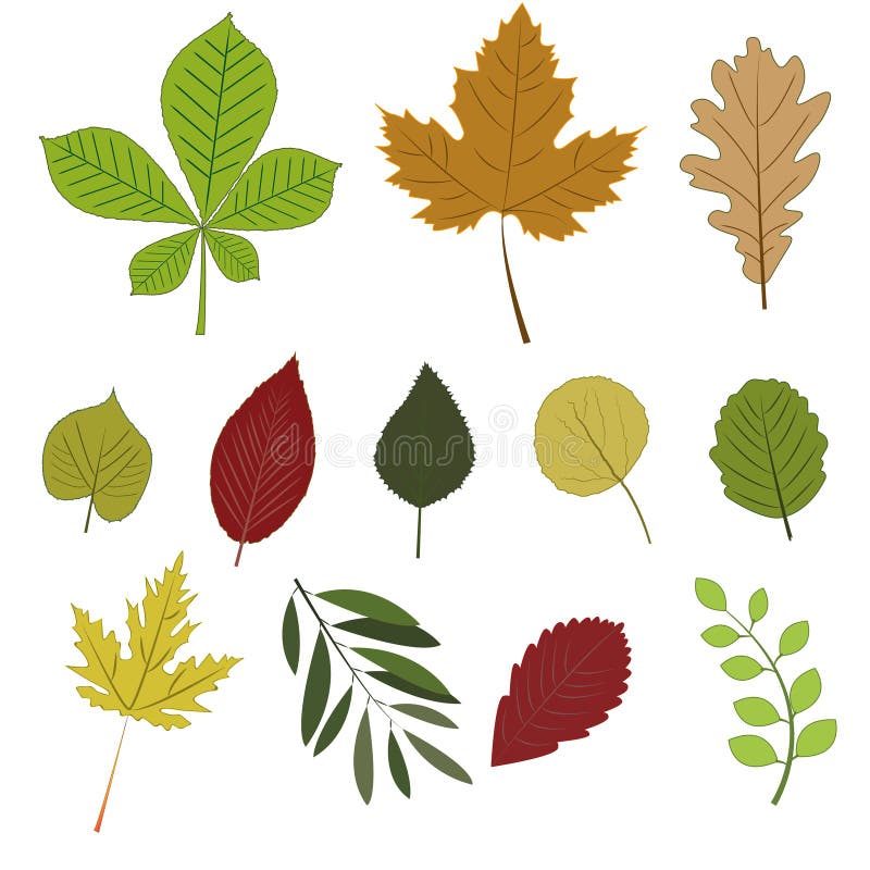 les lames d'automne ont placé illustration libre de droits les lames d'automne ont placé illustration libre de droits