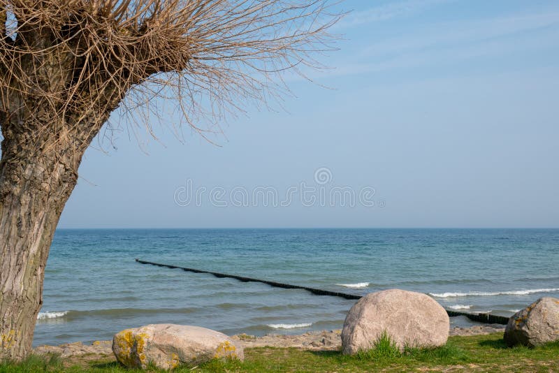 Les longs brise-lames dépassent dans l'eau de la mer baltique bleue photographie stock Les longs brise-lames dépassent dans l'eau de la mer baltique bleue photographie stock