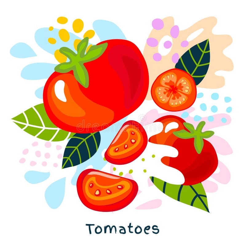 Les légumes juteux de tomates de tomate de légumes de jus d'aliment biologique mûr frais d'éclaboussure éclaboussent sur le vecte illustration libre de droits Les légumes juteux de tomates de tomate de légumes de jus d'aliment biologique mûr frais d'éclaboussure éclaboussent sur le vecte illustration libre de droits