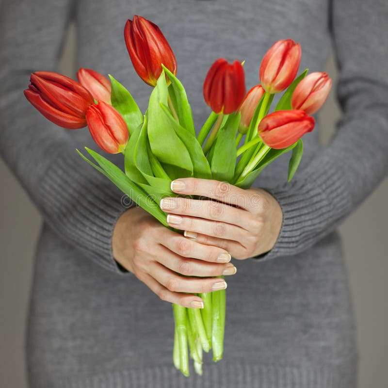 Les mains de femme avec l'art parfait de clou tenant le ressort rose fleurit des tulipes, tir sensuel de studio image libre de droits Les mains de femme avec l'art parfait de clou tenant le ressort rose fleurit des tulipes, tir sensuel de studio image libre de droits