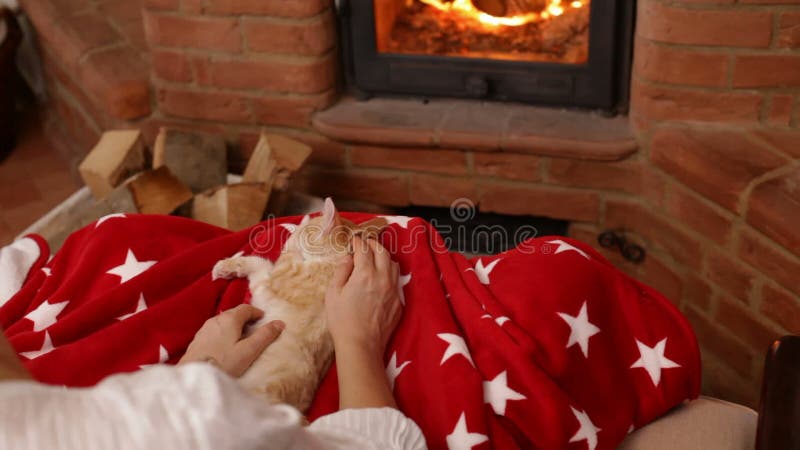 Les mains de femme choient le chaton orange mignon à la cheminée banque de vidéos