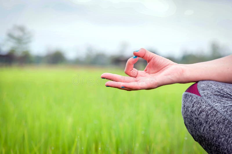 Les mains de la femme méditant dans un yoga posent au champ vert photos stock Les mains de la femme méditant dans un yoga posent au champ vert photos stock
