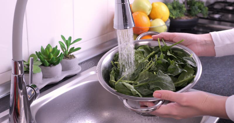 Les mains des femmes laver les épinards de bébé frais dans la cuisine banque de vidéos