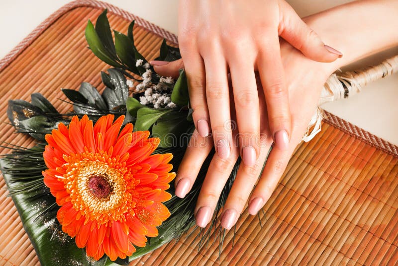 Les mains femelles avec les clous naturels beiges de couleur sur l'orange de Gervera fleurissent photographie stock libre de droits Les mains femelles avec les clous naturels beiges de couleur sur l'orange de Gervera fleurissent photographie stock libre de droits