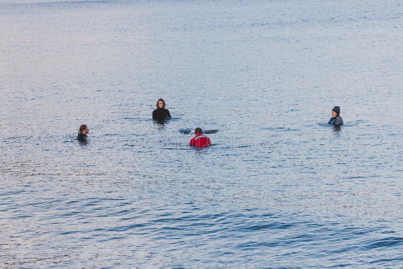 Les membres et les résidents qui sauvent la vie tentent d'aider et d'aider une baleine pilote échouée à remonter dans les eaux pl image stock Les membres et les résidents qui sauvent la vie tentent d'aider et d'aider une baleine pilote échouée à remonter dans les eaux pl image stock