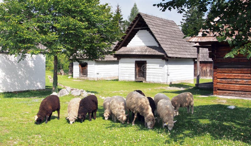 Les moutons s'approchent des maisons folkloriques photographie stock Les moutons s'approchent des maisons folkloriques photographie stock