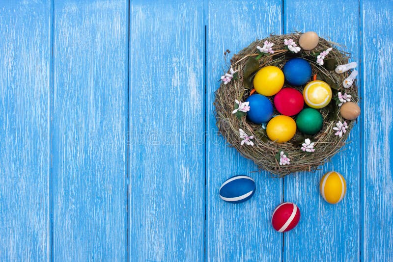 Les oeufs colorés de poulet de Pâques se situent dans un nid sur un fond bleu en bois, vacances de Pâques, l'espace de copie photographie stock Les oeufs colorés de poulet de Pâques se situent dans un nid sur un fond bleu en bois, vacances de Pâques, l'espace de copie photographie stock