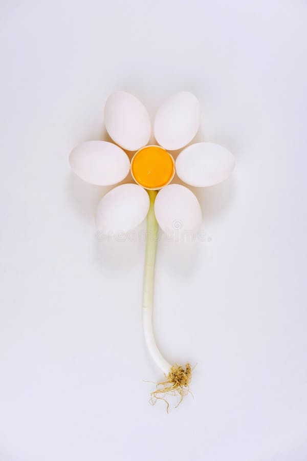 Les oeufs de poulet arrangent dans la forme de fleur photographie stock libre de droits Les oeufs de poulet arrangent dans la forme de fleur photographie stock libre de droits