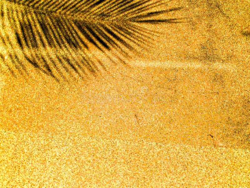 Les palmettes ombragent sur le grès orange images libres de droits Les palmettes ombragent sur le grès orange images libres de droits