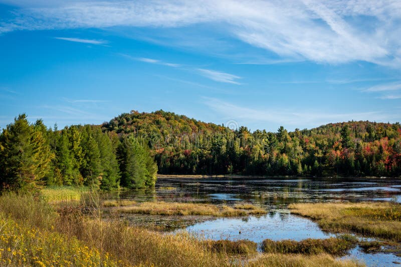Les parcs des Laurentides et les réserves fauniques images libres de droits