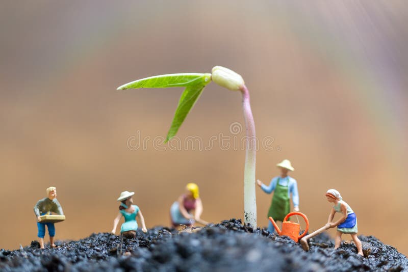 Les personnes miniatures, jardinières salut la pousse croissante dans le domaine