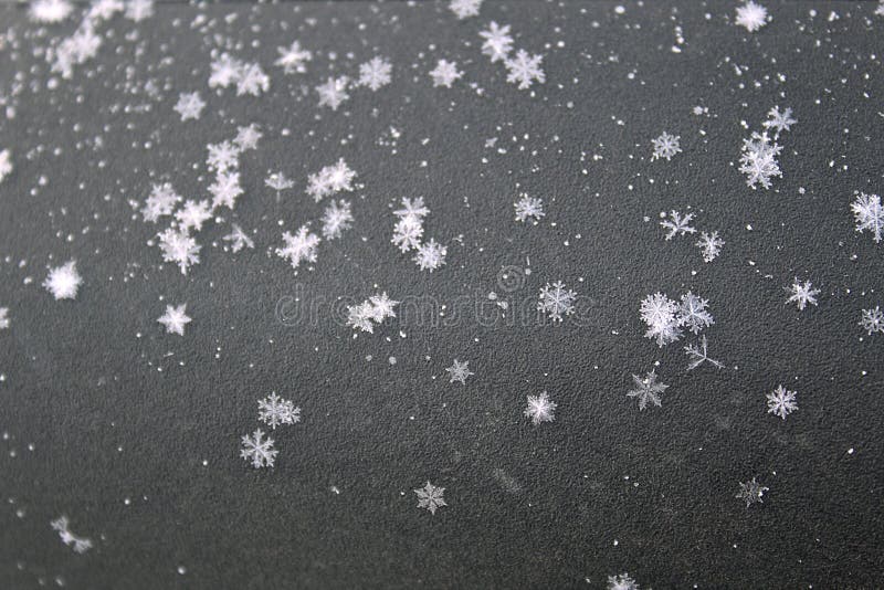 Les petits beaux flocons de neige se trouvent sur une surface douce images libres de droits Les petits beaux flocons de neige se trouvent sur une surface douce images libres de droits