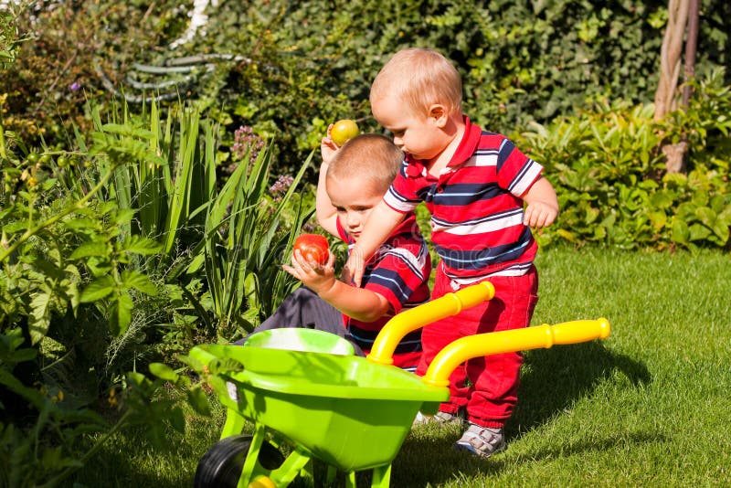 Les petits frères apprécient le jardin photo libre de droits Les petits frères apprécient le jardin photo libre de droits